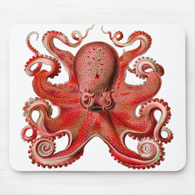 Haeckel Oktopus Rot Mousepad (Vorne)