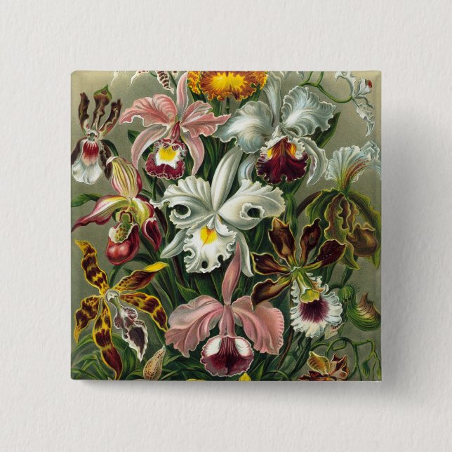 Haeckel Orchids Button (Vorderseite)