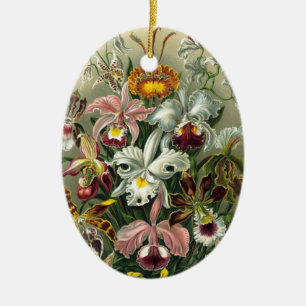 Haeckel Orchids Keramik Ornament