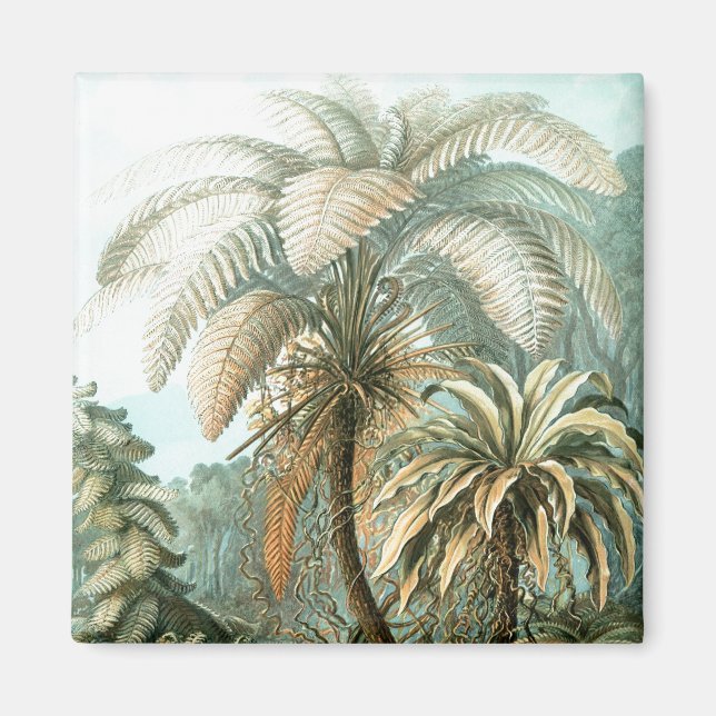 Haeckel Palm Trees Magnet (Vorne)