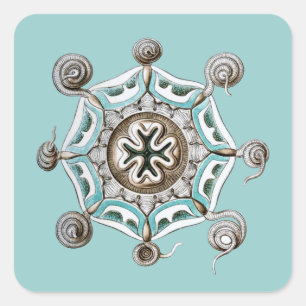 Haeckel Quadratischer Aufkleber