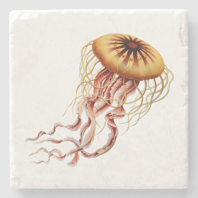 Haeckel Quallen-Untersetzer Steinuntersetzer (Vorderseite)