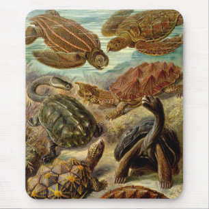 Haeckel-Schildkröten Mousepad