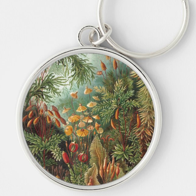 Haeckel Schlüsselanhänger (Vorne)