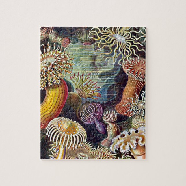 Haeckel Sea Anemone Ocean Life Naturschönheiten Ma (Vertikal)
