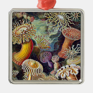 Haeckel Sea Anemone Ocean Life Painting Silbernes Ornament