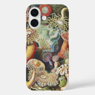 Haeckel Seeanemonen Maritime Meer Lebens Kunst Col iPhone 16 Hülle
