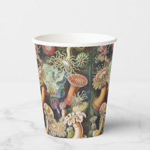Haeckel Seeanemonen Maritime Meer Lebens Kunst Col Pappbecher