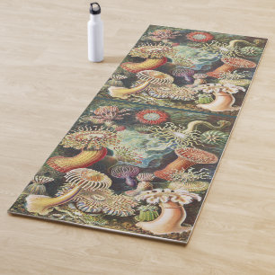 Haeckel Seeanemonen Maritime Meer Lebens Kunst Col Yogamatte