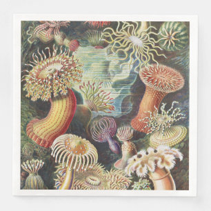 Haeckel Seeanemonen Maritime Meerestiere Kunst Col Serviette
