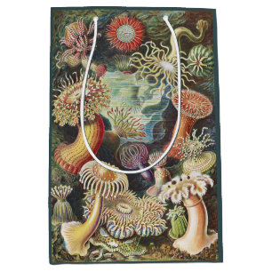 Haeckel Seeanemonen Nautische Meer Lebens Kunst Co Mittlere Geschenktüte