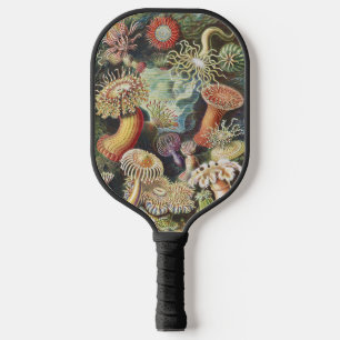 Haeckel Seeanemonen Nautische Meer Lebens Kunst Co Pickleball Schläger