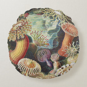Haeckel Seeanemonen Nautische Meer Lebens Kunst Co Rundes Kissen