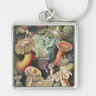Haeckel Seeanemonen Nautische Meer Lebens Kunst Co Schlüsselanhänger