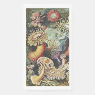 Haeckel Seeanemonen Nautische Meer Lebens Kunst Co Serviette