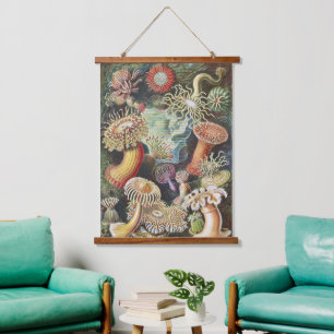 Haeckel Seeanemonen Nautische Meer Lebens Kunst Co Wandteppich Mit Holzrahmen