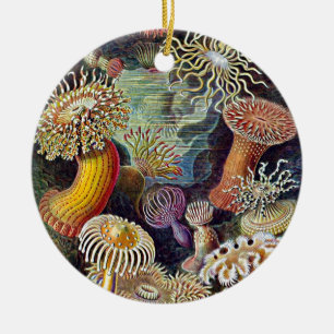 Haeckel Seeanemonen-Ozean-Leben-Malerei Keramikornament