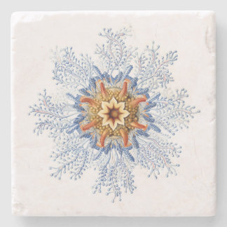 Haeckel Siphonophora-Untersetzer Steinuntersetzer