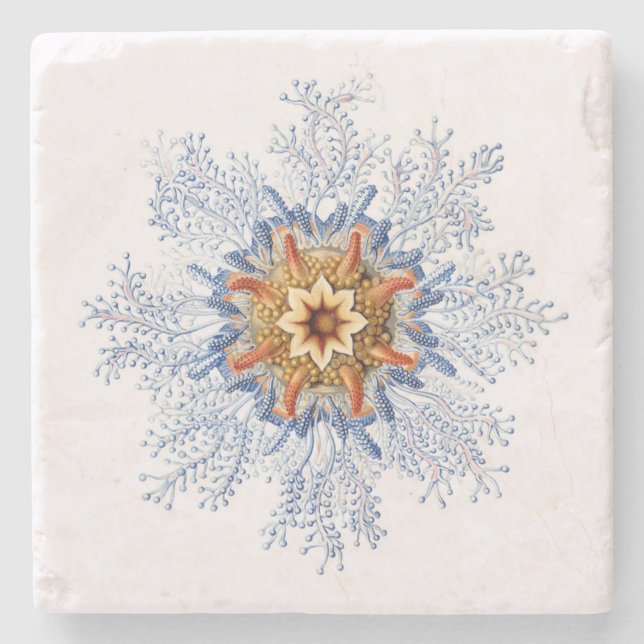 Haeckel Siphonophora-Untersetzer Steinuntersetzer (Vorderseite)
