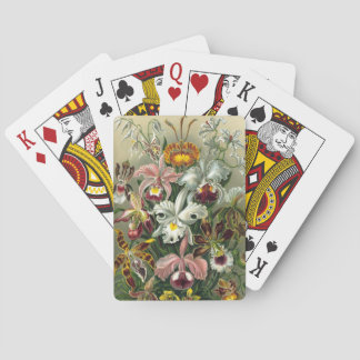 Haeckel Spielkarten