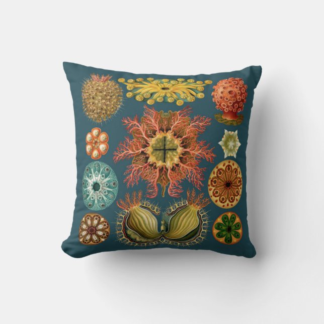 Haeckel Stachelhäuterkissen aquamarin Kissen (Vorderseite)