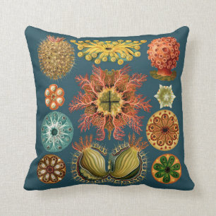 Haeckel Stachelhäuterkissen aquamarin Kissen