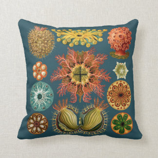 Haeckel Stachelhäuterkissen aquamarin Kissen