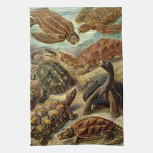 Haeckel Turtles Handtuch