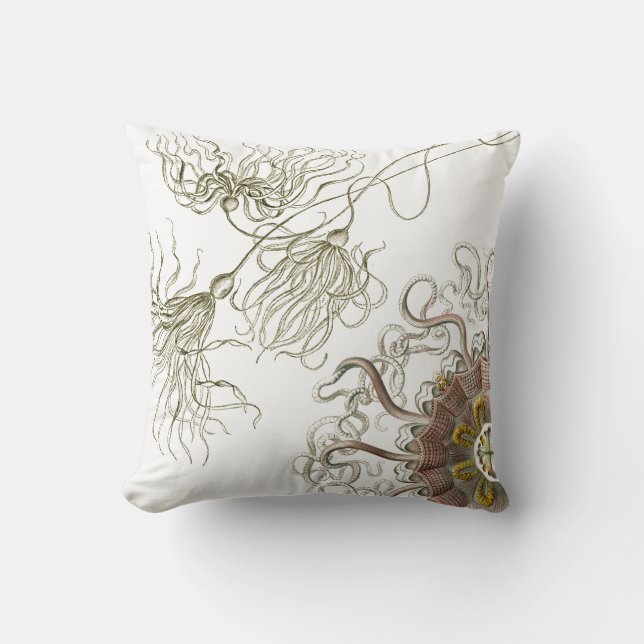 Haeckel Vintage Meereswelt Kissen (Vorderseite)