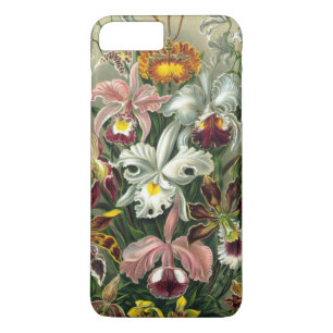 Haeckels bunte Orchideen-Lithographie title_seo2