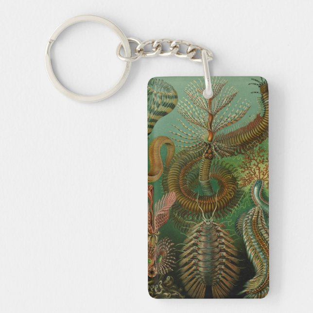 Haeckel's Chaetopoda Schlüsselanhänger (Vorderseite)
