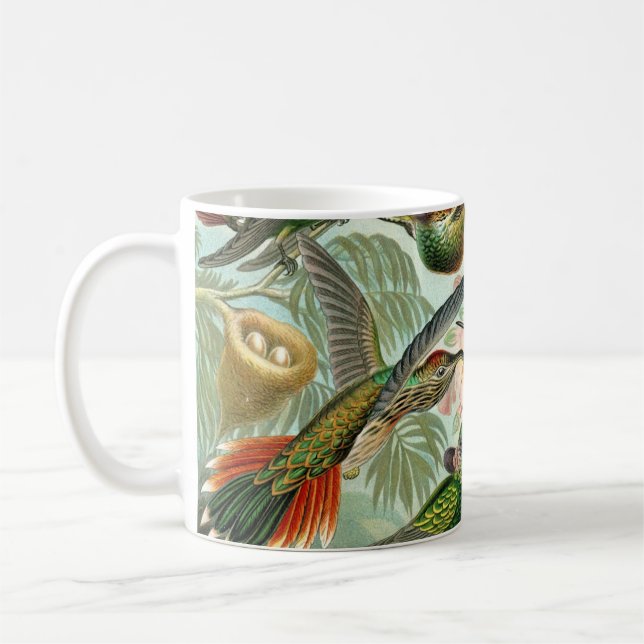 Haeckel's Hummingbirds Kaffee Tasse (Links)