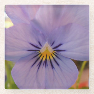 Haetzler Glasuntersetzer