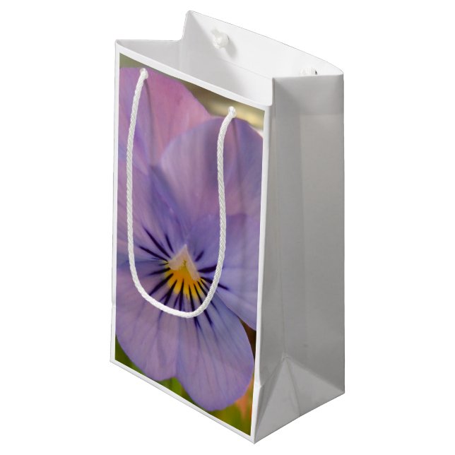 Haetzler Kleine Geschenktüte (Vorderseite Schrägansicht)