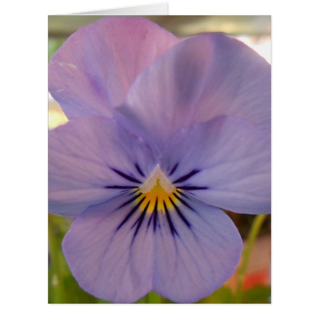 Haetzlern (Vorderseite)