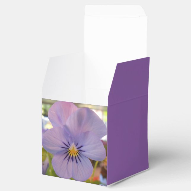 Haetzlern Geschenkschachtel (Geöffnet)