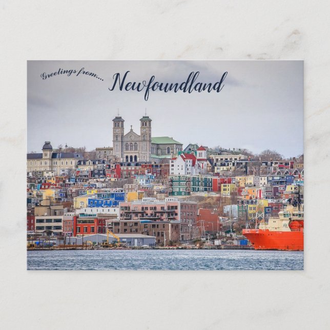 Hafen in St. John's Newfundland Kanada Postkarte (Vorderseite)