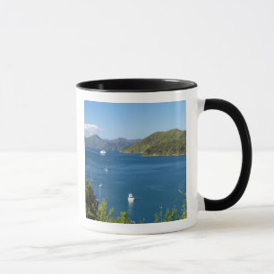 Hafen Picton, Marlborough Sounds, Süden Tasse