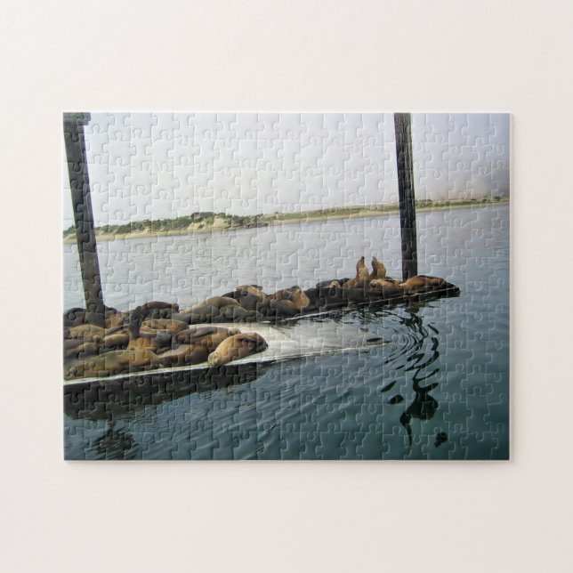 Hafen Siegel, Morro Bay, Kalifornien (Horizontal)