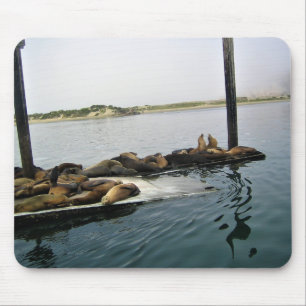 Hafen Siegel, Morro Bay, Kalifornien Mousepad