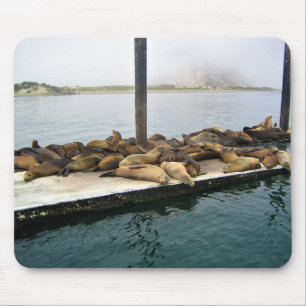 Hafen Siegel, Morro Bay, Kalifornien Mousepad