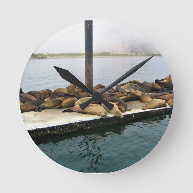 Hafen Siegel, Morro Bay, Kalifornien Runde Wanduhr (Vorderseite)