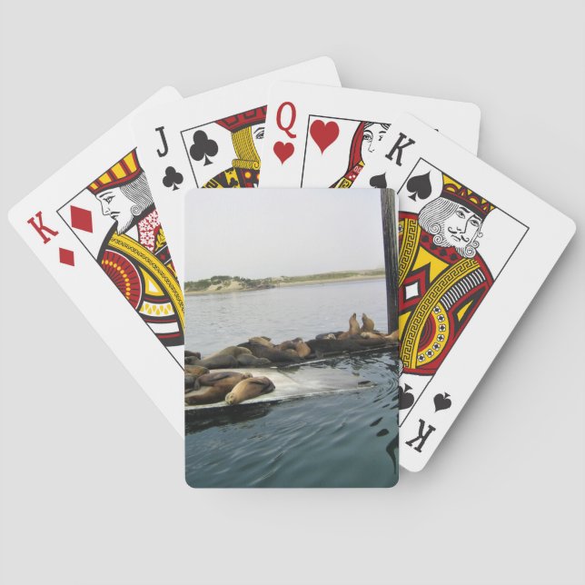 Hafen Siegel, Morro Bay, Kalifornien Spielkarten (Rückseite)