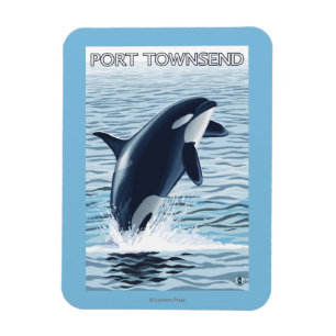 Hafen Townsend, WashingtonOrca Springen Magnet