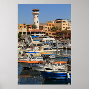 Hafen-Ufergegend in Cabo San Lucas Poster
