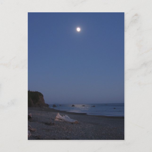 Hafen von Brookings, Oregon Postkarte (Vorderseite)