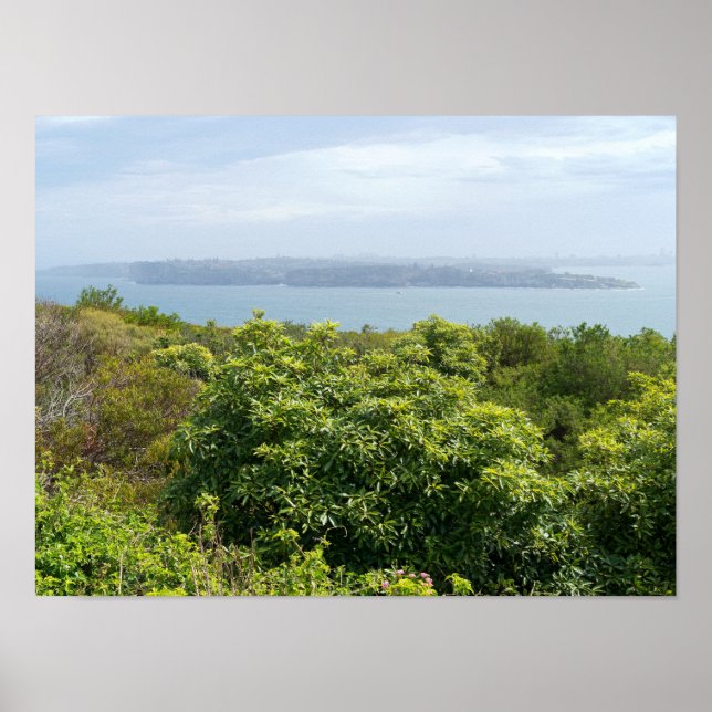 Hafen von Sydney Poster (Vorne)