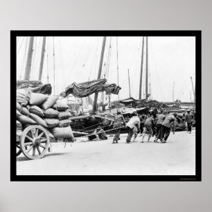 Hafenarbeiter in Hong Kong 1908 Poster