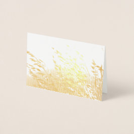 Hafer in der Sonne Folienkarte