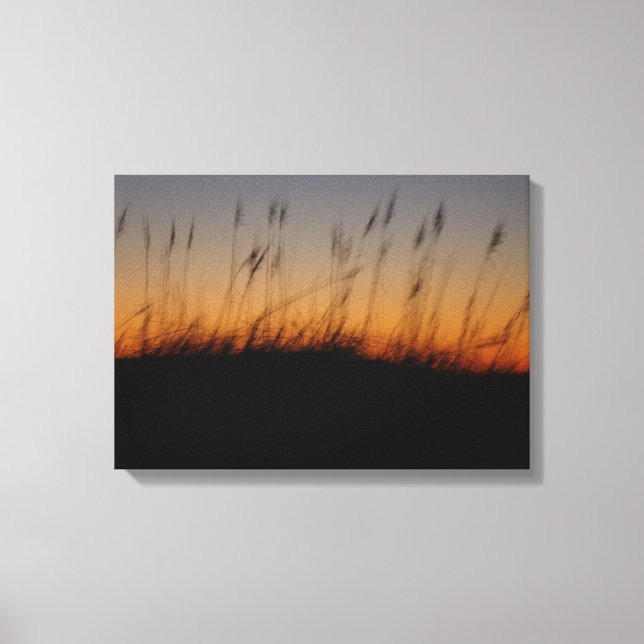 Hafer und Dünen im Sonnenuntergang Leinwanddruck (Vorderseite)